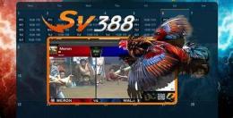 ảnh chụp màn hình sv388 đá gà ph