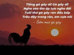 ảnh chụp màn hình thơ về gà đá