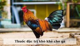 ảnh chụp màn hình thuoc dac tri kho khe cho ga da