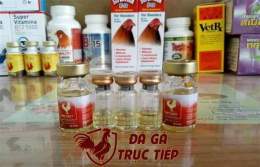 ảnh chụp màn hình thuoc nuoi ga da king power
