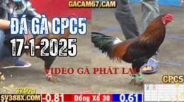 ảnh chụp màn hình truc tiep da ga c1 c2 c3