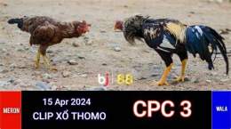ảnh chụp màn hình trực tiếp đá gà c3 ngày 15 tháng 4