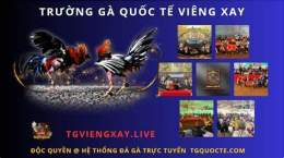 ảnh chụp màn hình trực tiếp đá gà viêng xay