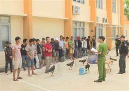 ảnh chụp màn hình vụ bắt đá gà quận 6