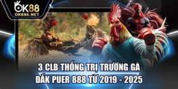 ảnh chụp màn hình xem đá gà đắk puer 888