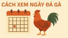 ảnh chụp màn hình xem lịch da gà theo ngày
