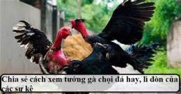ảnh chụp màn hình xem tuong ga tre da hay
