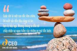 ảnh chụp màn hình ý nghĩa câu chó ăn đá gà ăn sỏi