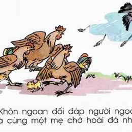 bài hát gà chung một mẹ chớ hoài đá nhau