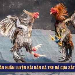 ban ga tre da cua sat