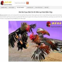 bat da ga moi nhat 2016