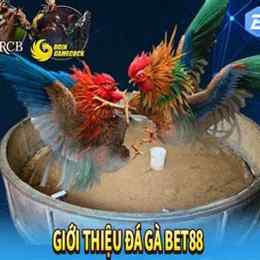 bet88 đá gà bet88pro.one