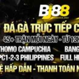 bi88 da ga truc tiep