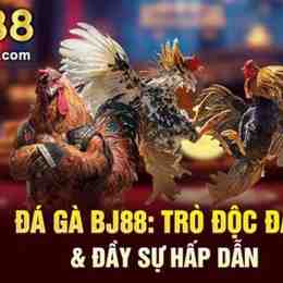bj88 đá gà bj88live.pro