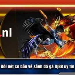 bj88 vua đá gà thomo hàng đầu thế giới 2024