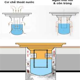 bỏ nước có ga vào ngăn đá