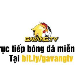 bong da ga vang tv