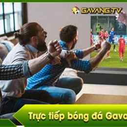 bóng đá trực tiếp gà vàng tv