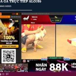 cá cược đá gà uy tín