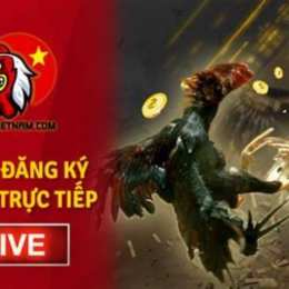 cách đăng ký đá gà