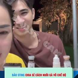 cách nuôi gà vô chế độ đá