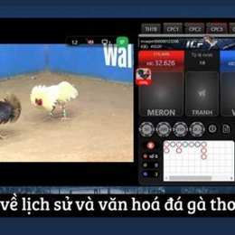 cách tải trang đá gà thomo