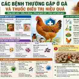 cách trị da gà ở có