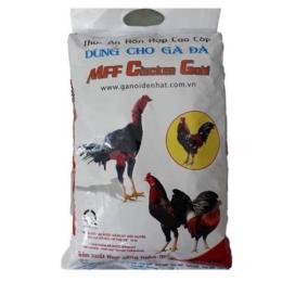 cám gà đá chicken gold