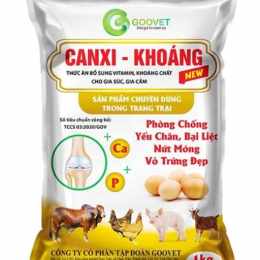 canxi cho gà đá