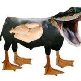 chân như vịt thịt như gà da như trâu là con gì