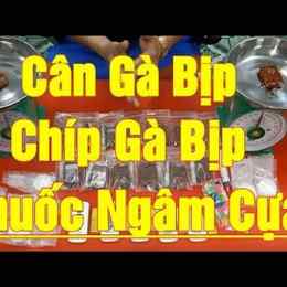 chíp đá gà bịp