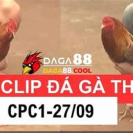 clip da ga noi