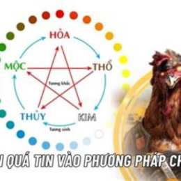 coi màu mạng đá gà