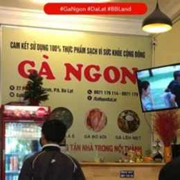 com ga ngon da lat