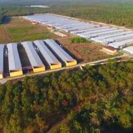 cty cp chăn nuôi gà đà lạt