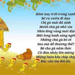 đã dựng xong ngôi nhà nhỏ cho những chú gà con
