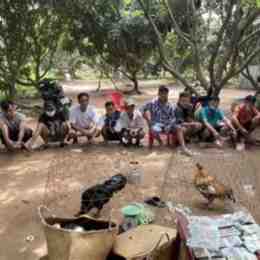 đá gà 17 chấm com
