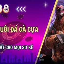 đá gà 17 tháng 3