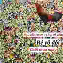 đá gà 23/5