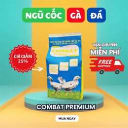 đá gà 26 tháng 7