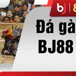 đá gà 267