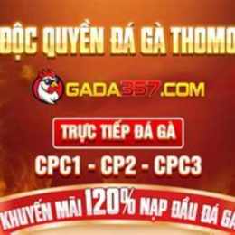 đá gà 357 net