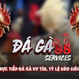 da ga 88 c1