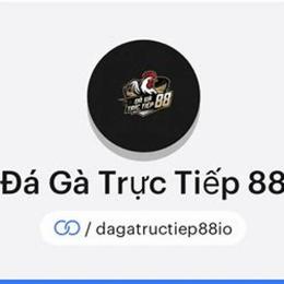 đá gà 88 dev