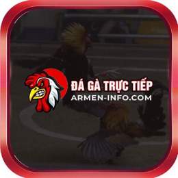 đá gà 88 trực tiếp c3