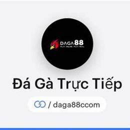 đá gà 88e com