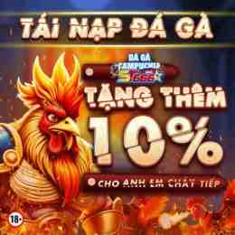đá gà 88h.link