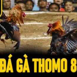 đá gà 88m. com