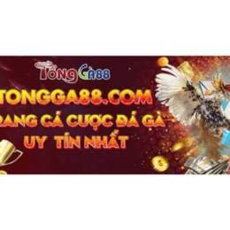 đá gà 88.net c3