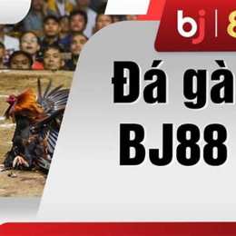 đá gà 8kbet